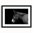 Black-framed wall art featuring a whimsical donkey design from the "Animals - A Wild Life" collection, showcasing playful colors and intricate details, perfect for animal lovers.