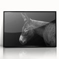 Framed wall art featuring a black donkey design from the "Animals A Wild Life" collection, showcasing a sleek acrylic finish and modern aesthetic, perfect for animal lovers.