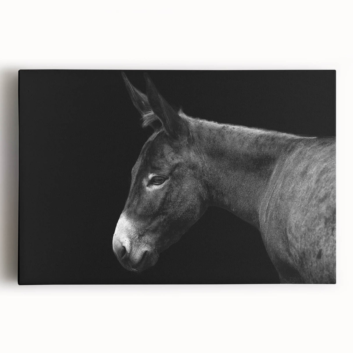 Stretched canvas wall art featuring a vibrant donkey design, showcasing detailed textures and colors, perfect for animal lovers and home decor enthusiasts.