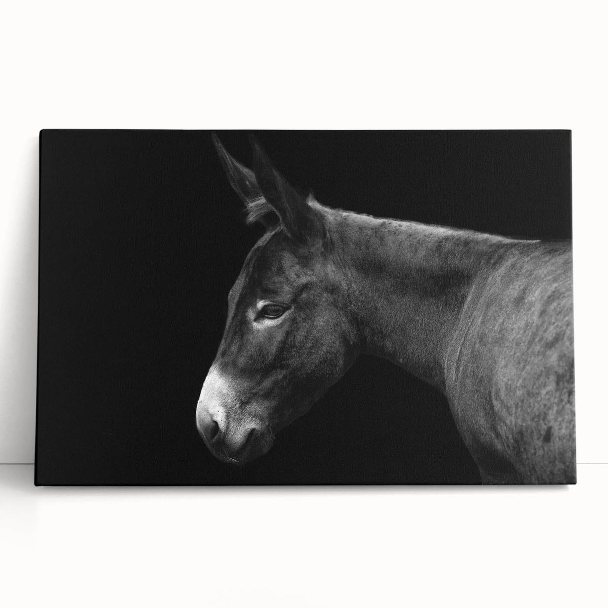 Stretched canvas wall art featuring a vibrant donkey design, showcasing intricate details and earthy colors, perfect for adding a whimsical touch to home decor.