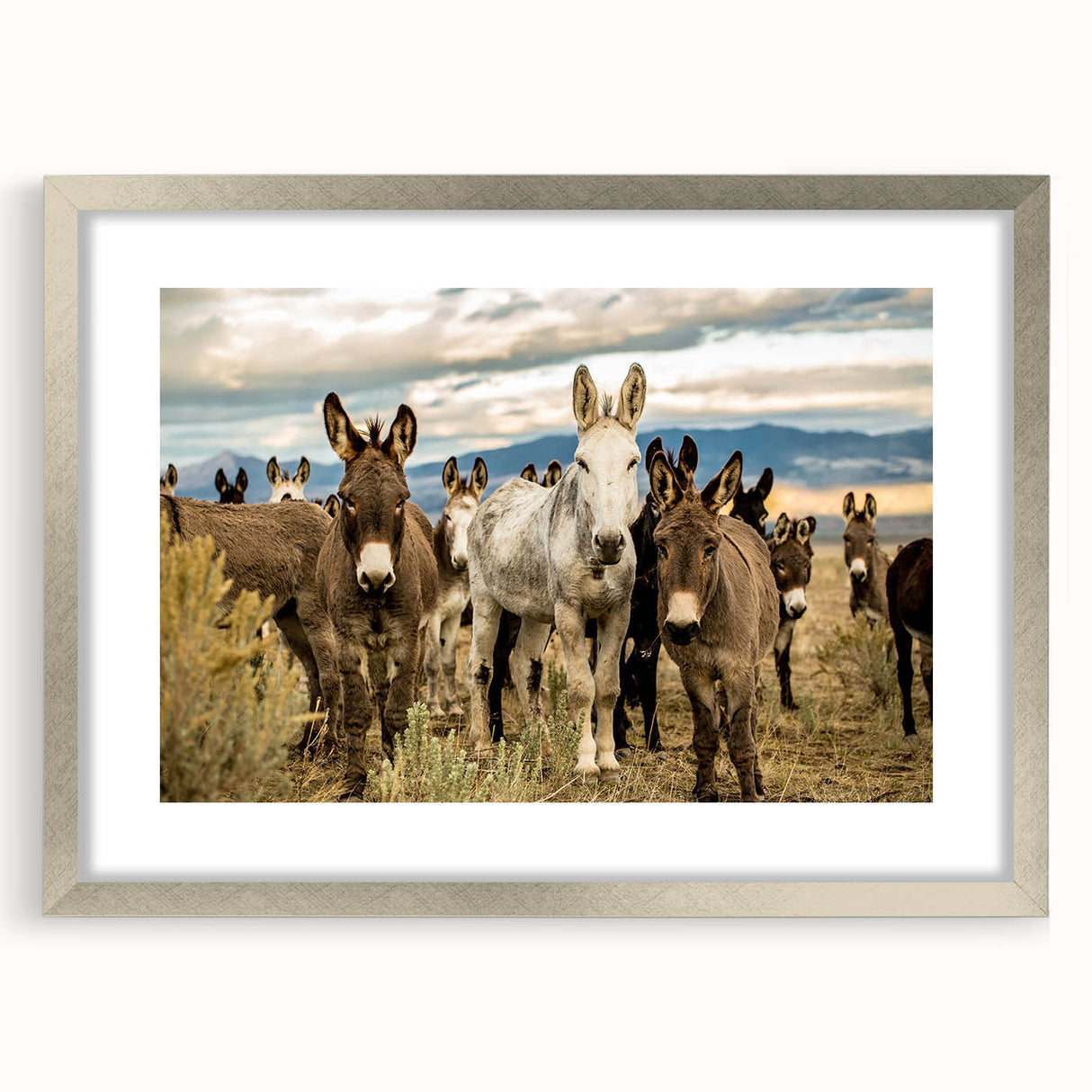 Framed wall art featuring a whimsical donkey design from the "Animals A Wild Life" collection, showcasing a silver frame and mat, perfect for adding charm to any room.