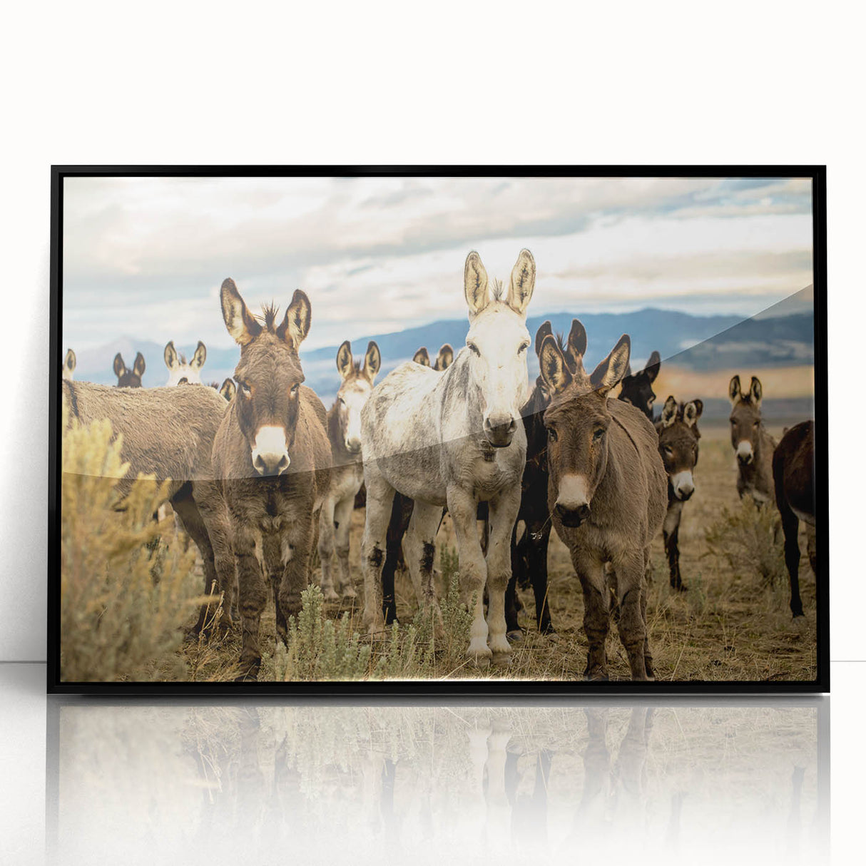 Framed wall art featuring a striking donkey design from the "Animals: A Wild Life" collection, showcasing vibrant colors and a sleek black frame, ideal for animal lovers' decor.
