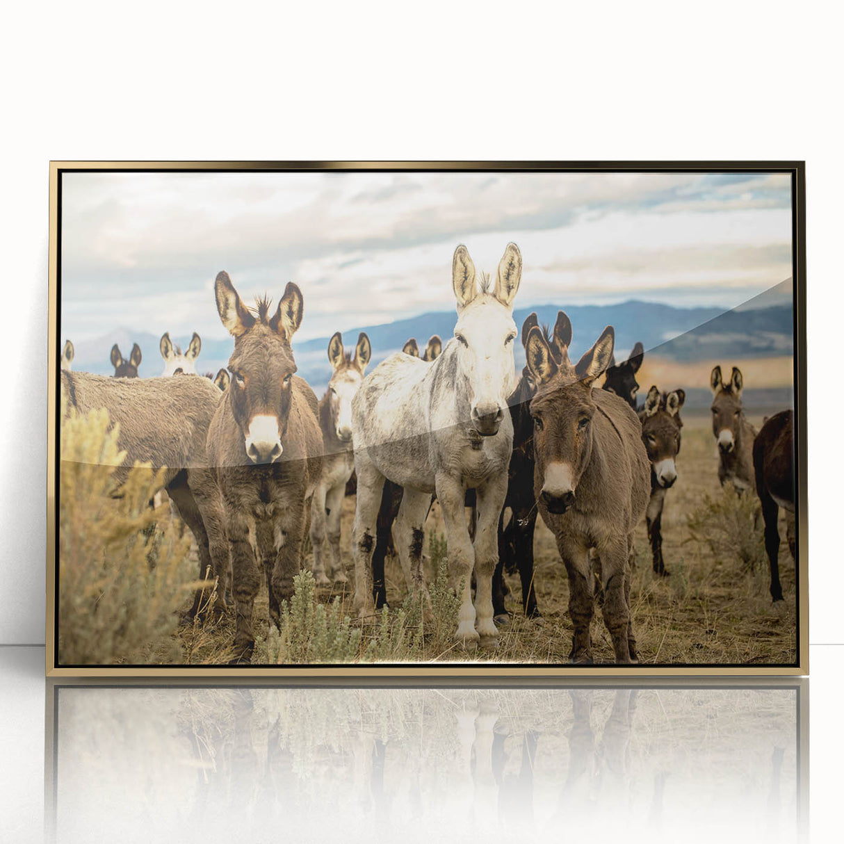 Framed wall art featuring a striking donkey design with a gold-acrylic finish, showcasing vibrant colors and intricate details, perfect for animal lovers and home decor.