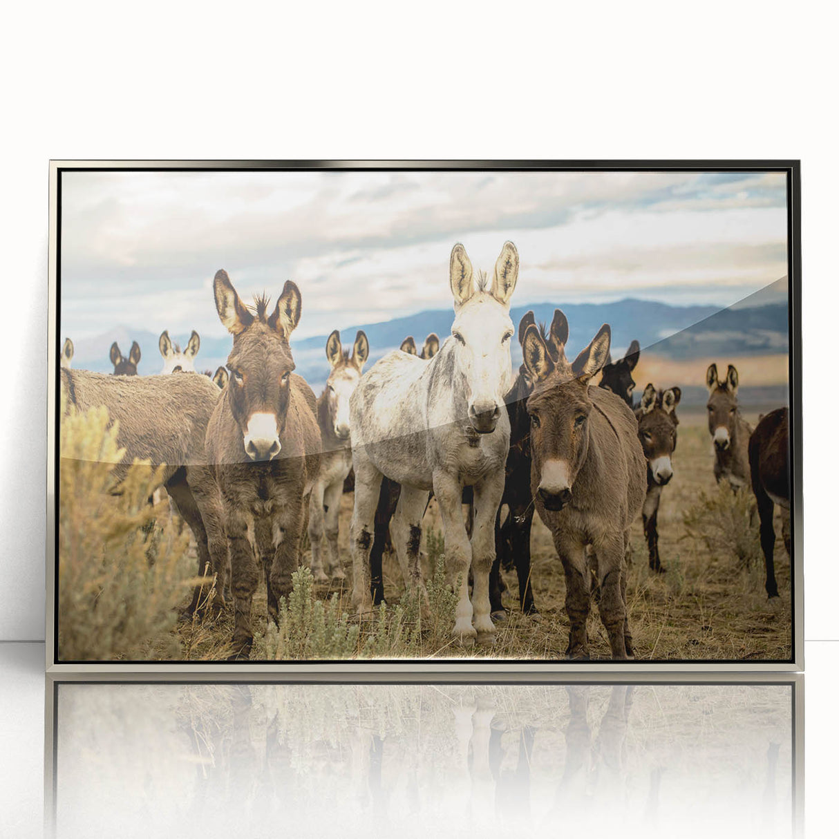 Framed wall art featuring a donkey design, showcasing intricate details and a silver frame, perfect for animal lovers and home decor enthusiasts.