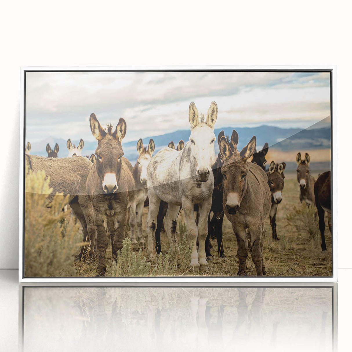 Framed wall art featuring a whimsical donkey design in a white frame, showcasing vibrant colors and playful details, perfect for animal lovers' decor.