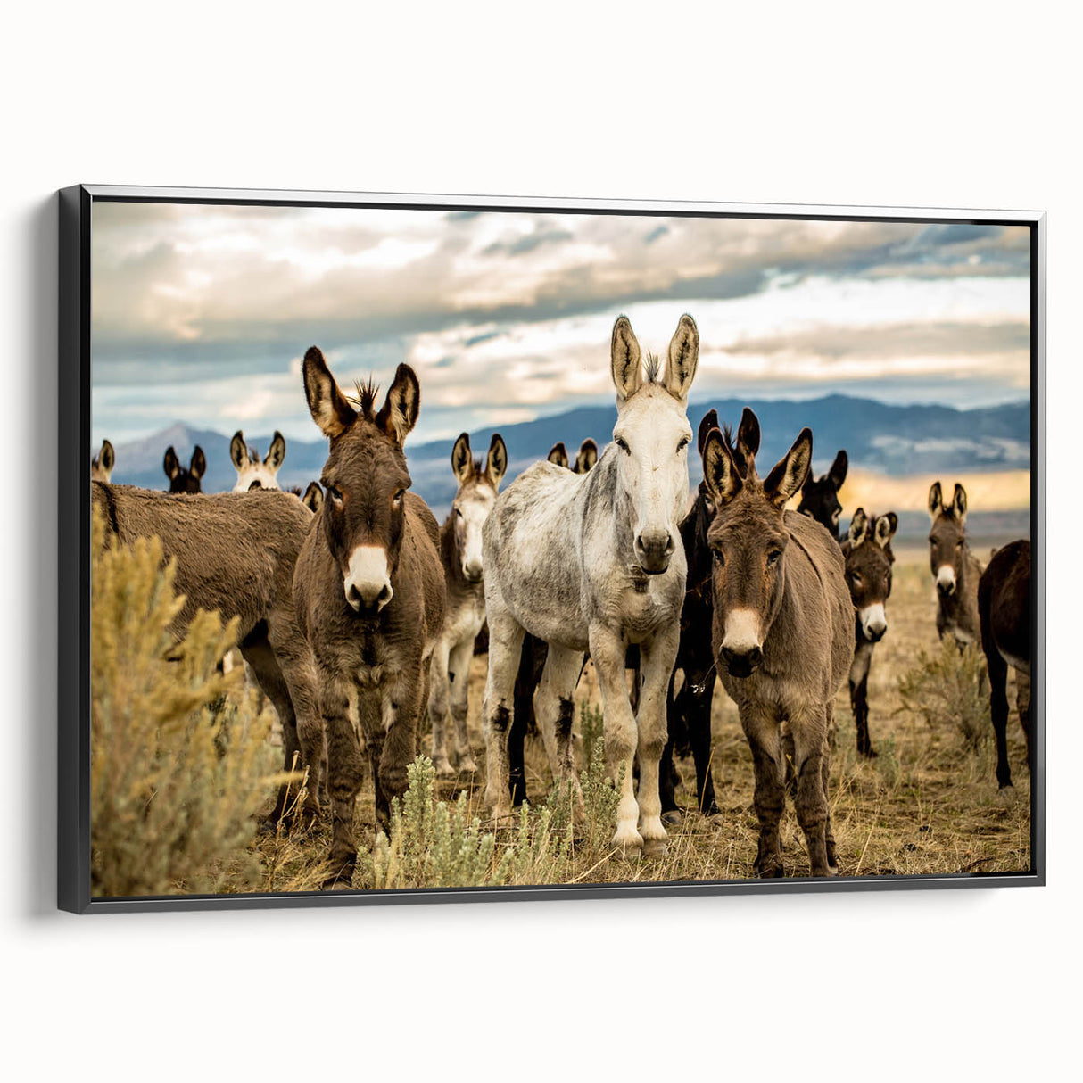 Framed canvas wall art featuring a side view of a stylized donkey design, showcasing intricate details and vibrant colors, ideal for animal lovers and home decor enthusiasts.