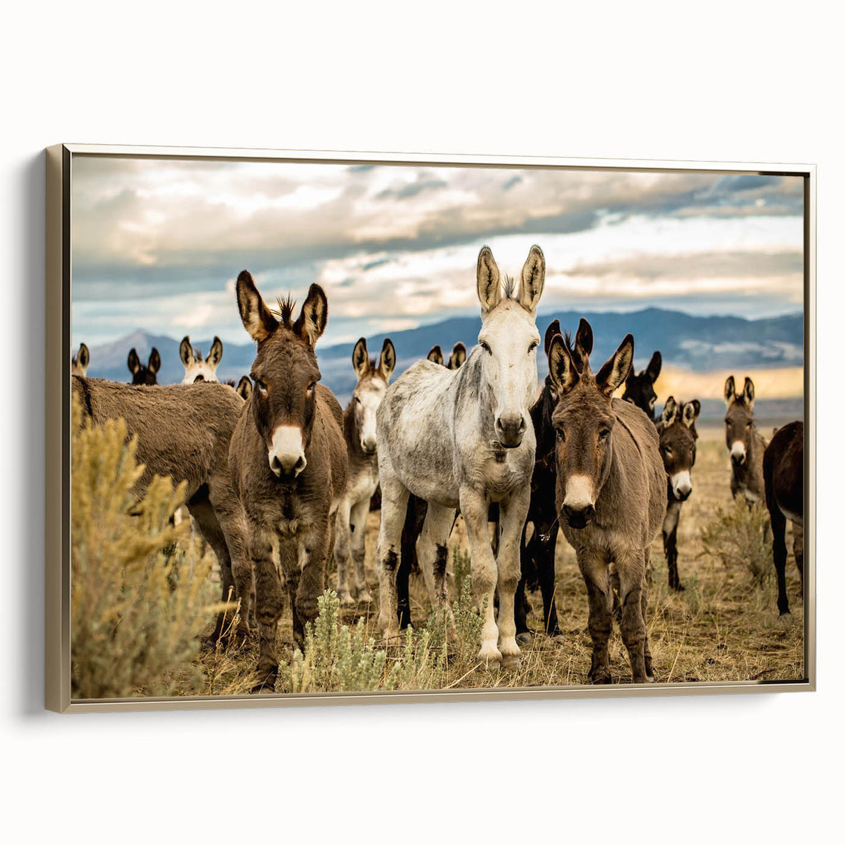 Framed wall art featuring a side view of a donkey design, with a gold border, showcasing intricate details and vibrant colors, perfect for animal lovers and home decor.
