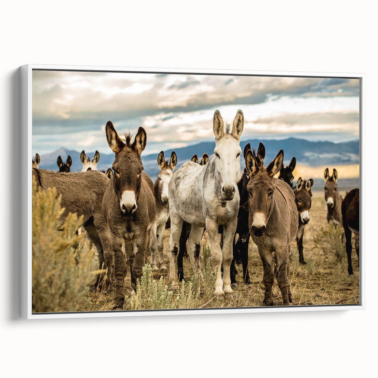 Framed canvas wall art featuring a stylish donkey design in a white color scheme, showcasing a side view with intricate detailing, perfect for animal lovers and modern decor.