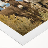 Rolled canvas artwork showcasing a vibrant donkey design, part of a wild animal wall art collection, featuring rich colors and intricate details, perfect for home decor.