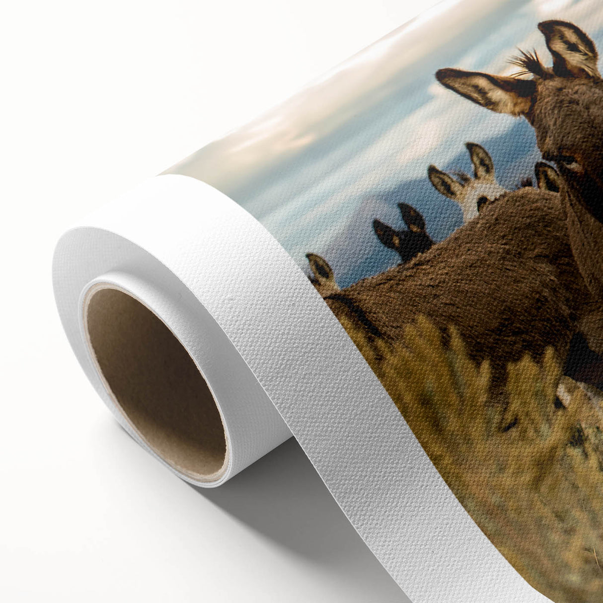 Rolled canvas art showcasing a colorful donkey design inspired by wildlife, featuring intricate details and vibrant hues, perfect for animal lovers' decor.
