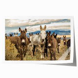 Rolled wall art print showcasing a vibrant donkey design, featuring intricate details and earthy tones, perfect for animal lovers and home decor enthusiasts.