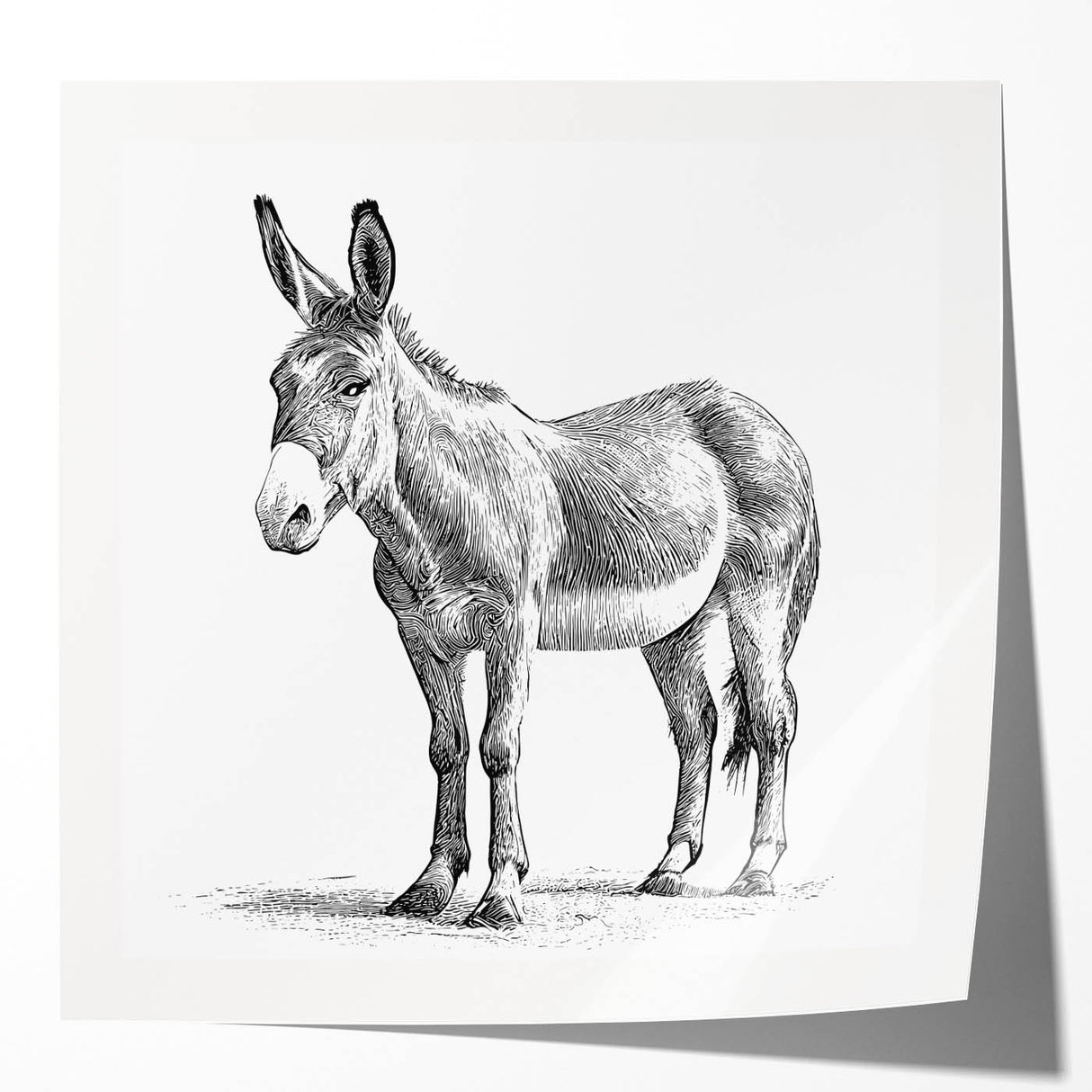 Donkey-themed wall art design featuring a vibrant, glossy print showcasing a whimsical animal illustration. Ideal for animal lovers and home decor enthusiasts.