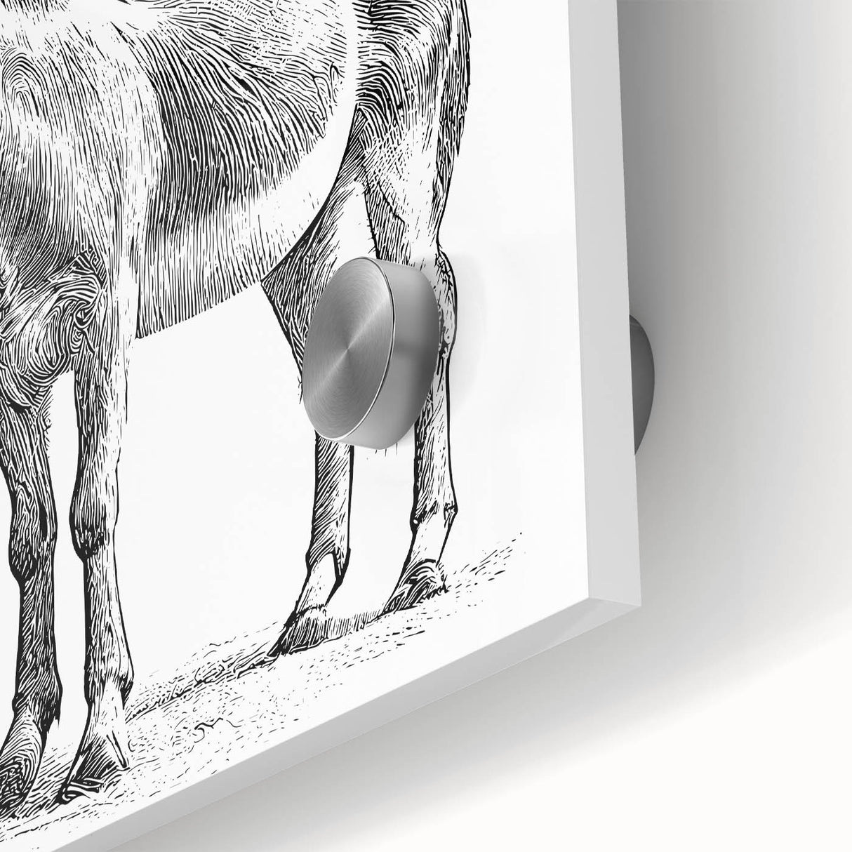 Close-up of a stunning acrylic glass wall art piece showcasing a donkey design, featuring detailed textures and vibrant colors, perfect for animal lovers and home decor enthusiasts.