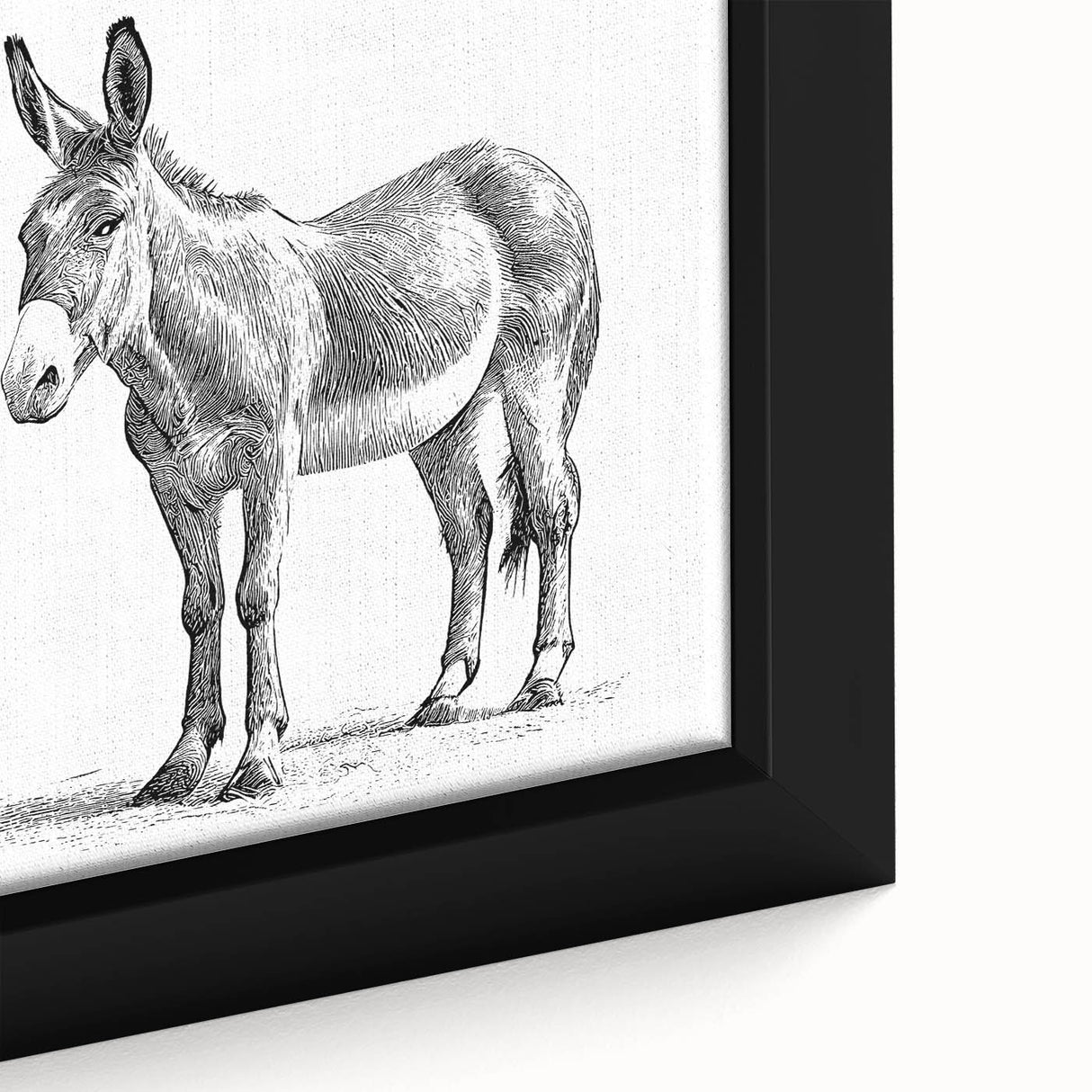 Close-up of a framed canvas wall art featuring a detailed donkey design, showcasing vibrant colors and intricate textures that highlight the animal's features, perfect for wildlife enthusiasts.