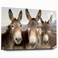 Side view of a donkey wall art piece displayed in a stylish acrylic glass frame, showcasing intricate design details and vibrant colors, perfect for animal lovers and home decor enthusiasts.