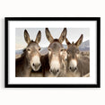 Black-framed wall art featuring a whimsical donkey design from the "Animals A Wild Life" collection, showcasing vibrant colors and playful details, perfect for animal lovers and home decor.