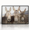 Framed acrylic wall art showcasing a stylish donkey design in a black frame, perfect for animal lovers and modern decor enthusiasts. Ideal for adding unique charm to any space.