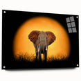 Acrylic wall art depicting a majestic elephant in profile, showcasing intricate details and vibrant colors, perfect for wildlife enthusiasts and home decor.