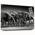 Side view of a striking elephant wall art piece, designed with acrylic glass, showcasing vibrant colors and intricate details, perfect for wildlife enthusiasts.