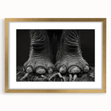 Elegant wall art showcasing a majestic elephant design in a gold frame, featuring a matte finish, perfect for adding a touch of wildlife elegance to any room.