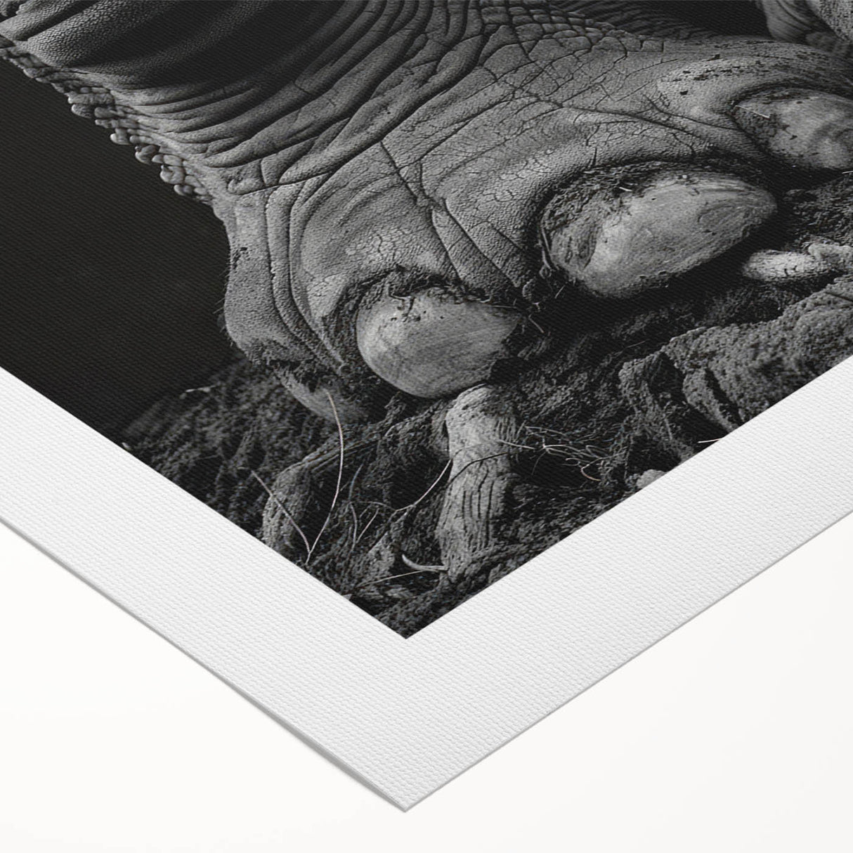 Vibrant rolled canvas depicting a majestic elephant in a colorful wild life design, perfect for nature-inspired home decor, showcasing intricate details and textures.