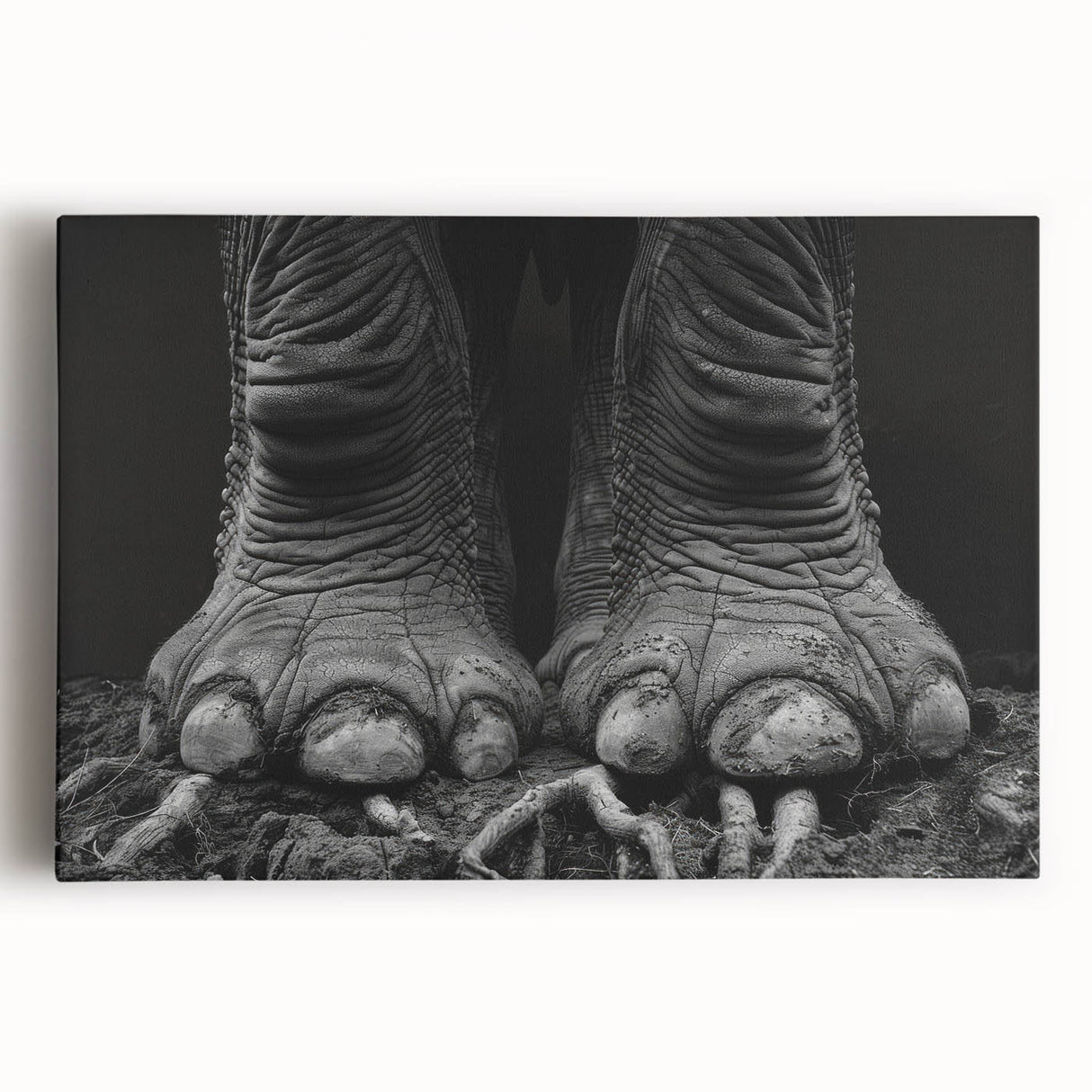 Stretched canvas wall art featuring a striking front view of a majestic elephant, showcasing intricate details and natural colors, perfect for wildlife enthusiasts and home decor.