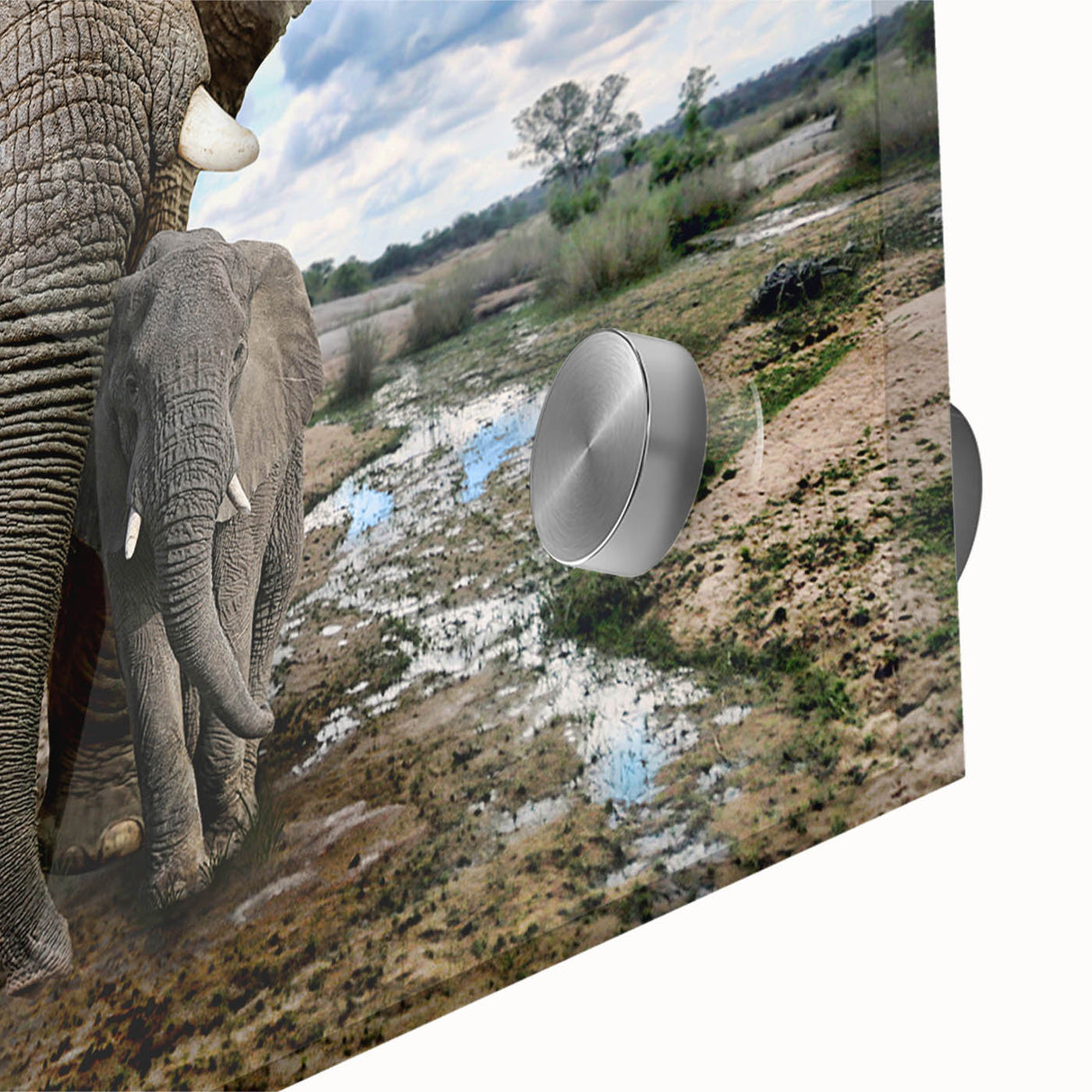 Close-up of a majestic elephant wall art piece showcasing intricate details and vibrant colors, framed in acrylic glass for a stunning display, perfect for wildlife enthusiasts.