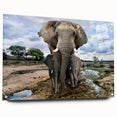 Side view of a vibrant acrylic glass wall art piece featuring a majestic elephant design, showcasing intricate details and colors, ideal for animal lovers and home decor enthusiasts.