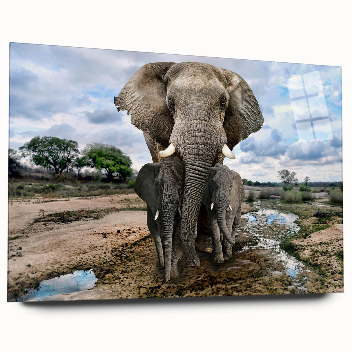 Acrylic wall art showcasing a side view of an elegant elephant design, perfect for wildlife enthusiasts, featuring detailed textures and a vibrant color palette. Ideal for home decor in nature-themed spaces.