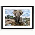 Framed wall art featuring a striking black and white elephant design, showcasing intricate details and textures, ideal for animal lovers and home decor enthusiasts.