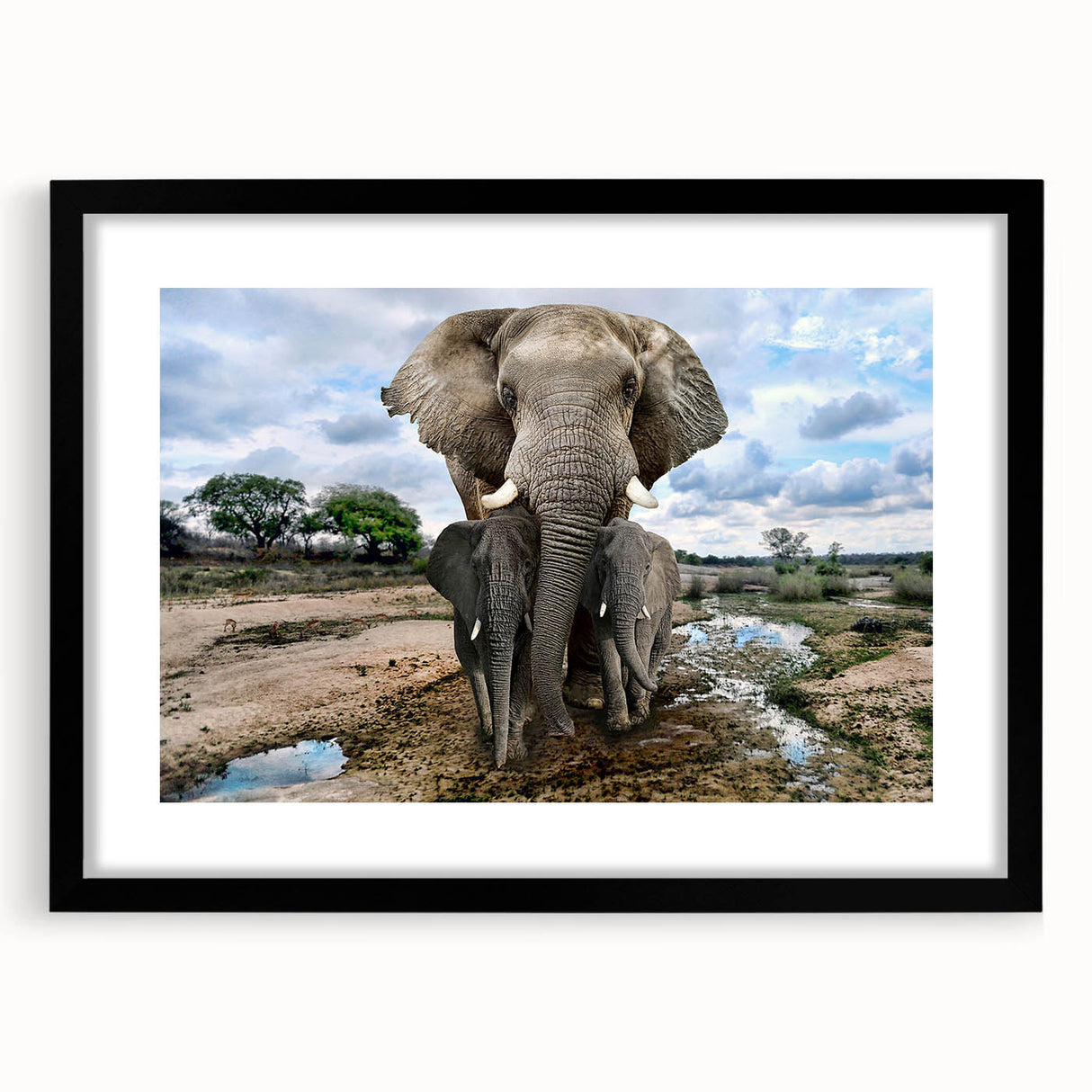 Framed wall art featuring a striking black and white elephant design, showcasing intricate details and textures, ideal for animal lovers and home decor enthusiasts.
