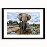Framed wall art featuring a striking black and white elephant design, showcasing intricate details and textures, ideal for animal lovers and home decor enthusiasts.