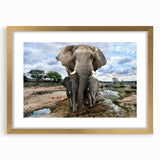 Elegant wall art featuring a majestic elephant design in a gold frame, accented with a mat, ideal for enhancing home decor with a touch of nature's beauty.