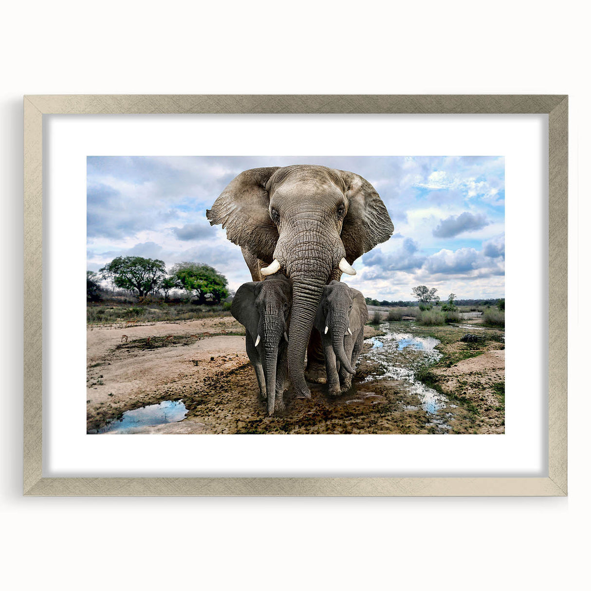 Framed wall art showcasing a stunning silver-mounted elephant design, part of a wildlife collection, perfect for adding a touch of nature-inspired elegance to home decor.