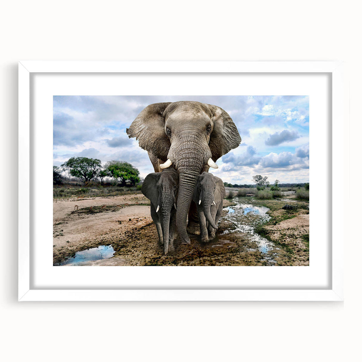 Framed wall art featuring a stunning illustration of an elephant in its natural habitat, surrounded by vibrant colors, designed to enhance any wildlife-themed decor.