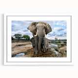 Framed wall art featuring a stunning illustration of an elephant in its natural habitat, surrounded by vibrant colors, designed to enhance any wildlife-themed decor.