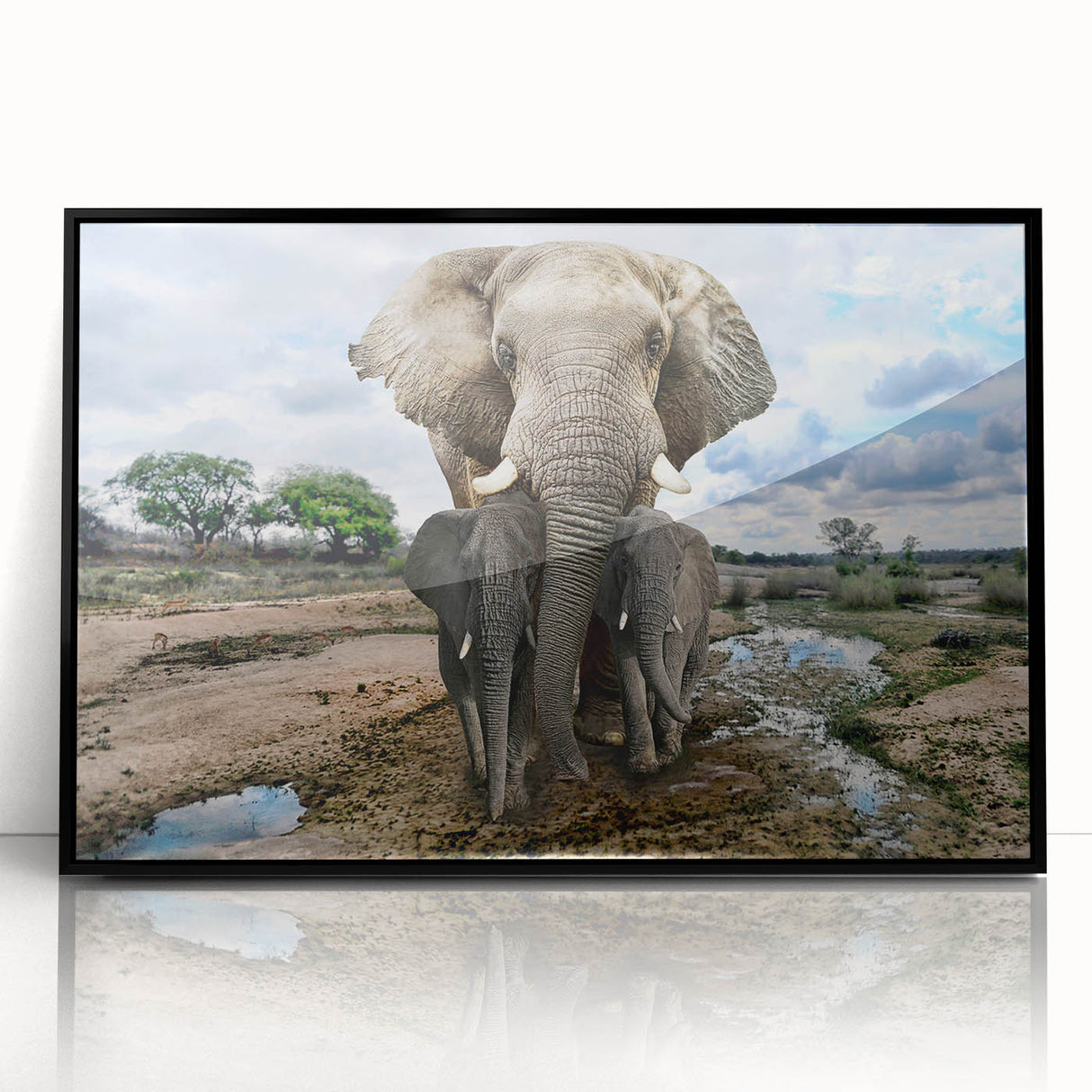 Framed wall art featuring a striking black and white elephant design, showcasing intricate details and textures, perfect for enhancing modern home decor.