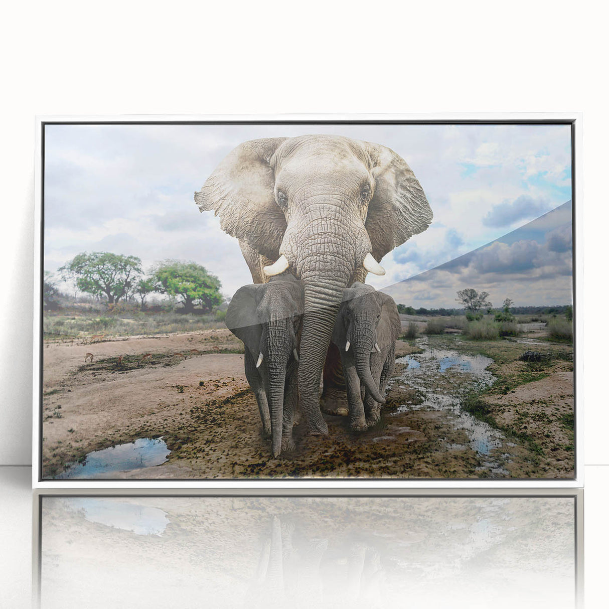 Framed wall art featuring a striking elephant design in a white frame, showcasing vibrant colors and intricate details, perfect for wildlife enthusiasts.