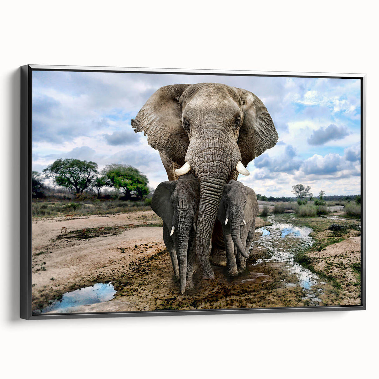 Framed wall art depicting a side view of an elephant design in vibrant colors, set against a black background, ideal for animal lovers and home decor enthusiasts.