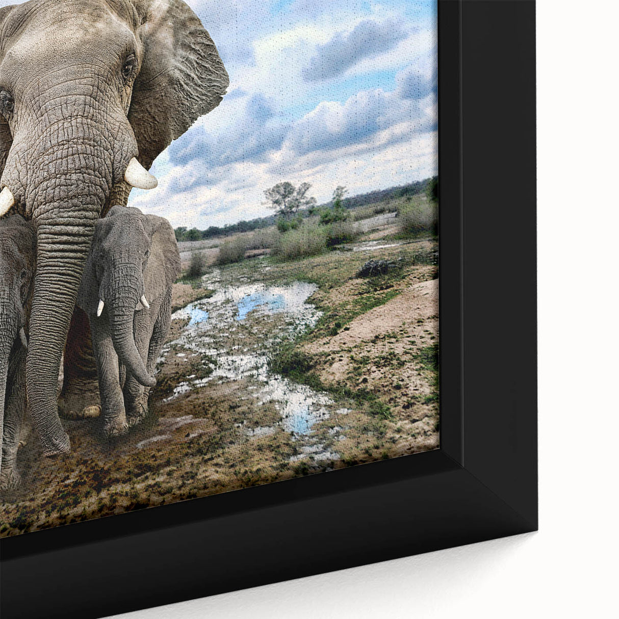 Close-up view of a beautifully framed canvas wall art featuring a majestic African elephant, showcasing intricate details and vibrant colors, ideal for wildlife enthusiasts and home decor.