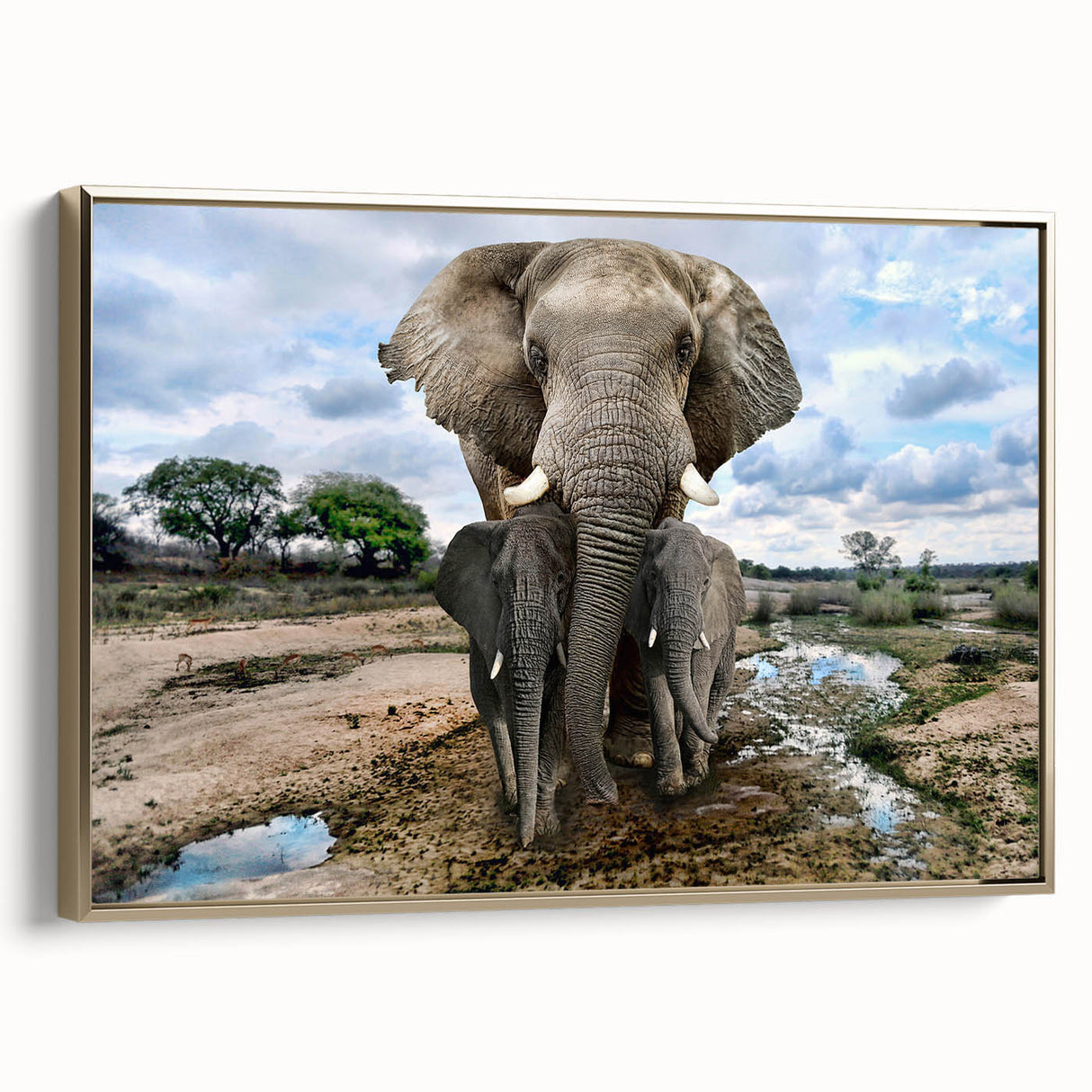 Framed wall art featuring a detailed side view of a majestic elephant, showcasing intricate textures and a luxurious gold frame, perfect for wildlife decor enthusiasts.