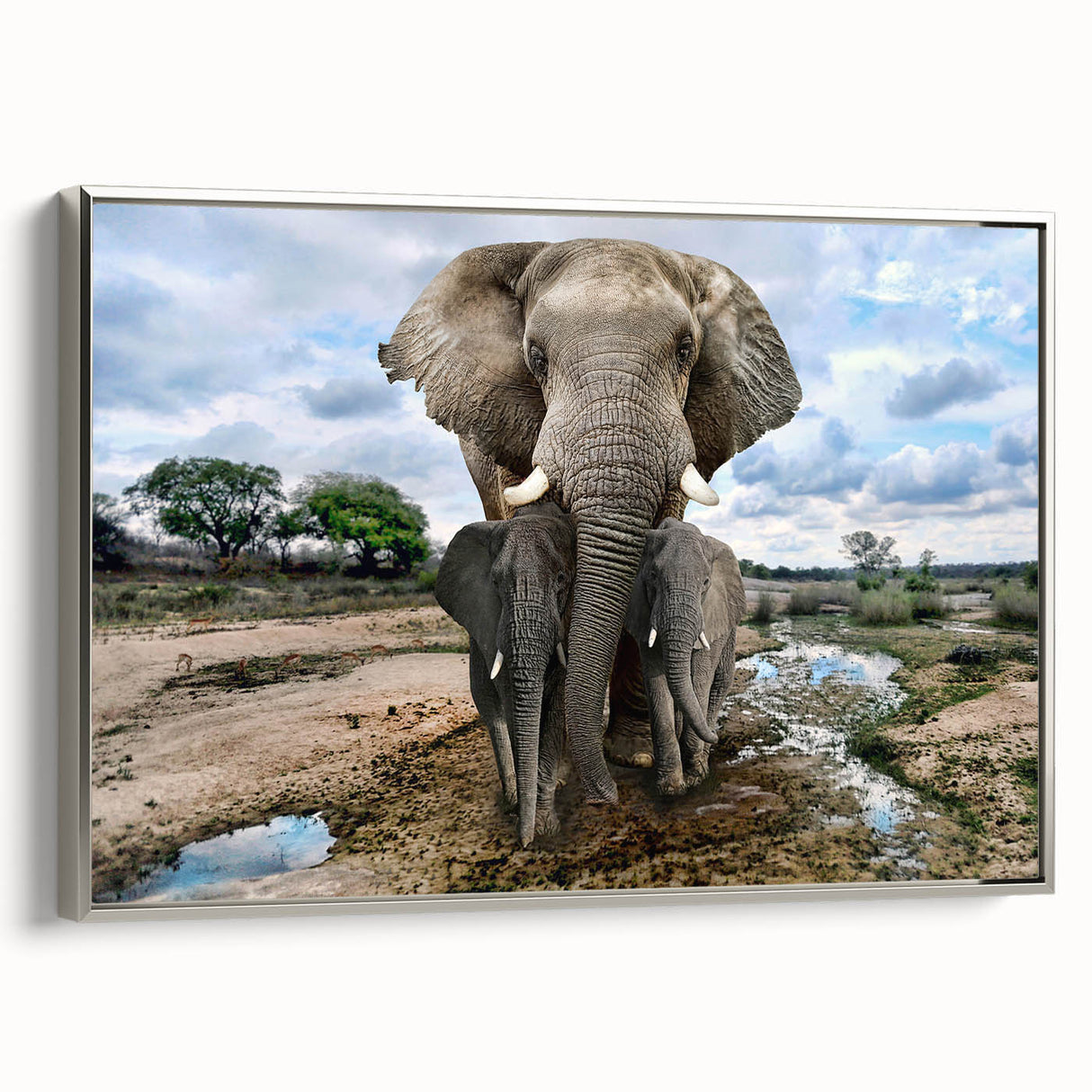 Framed canvas wall art depicting a side view of a majestic elephant in a silver design, showcasing intricate details and textures, perfect for wildlife enthusiasts.