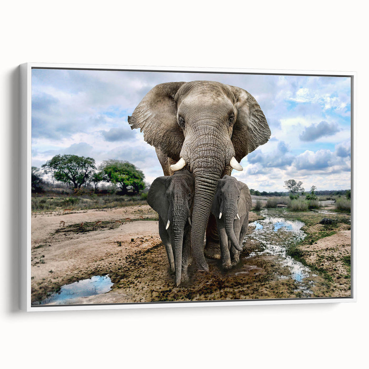 Framed canvas wall art showcasing a striking side view of an elephant, designed with intricate details and vibrant colors, perfect for wildlife enthusiasts and modern decor.