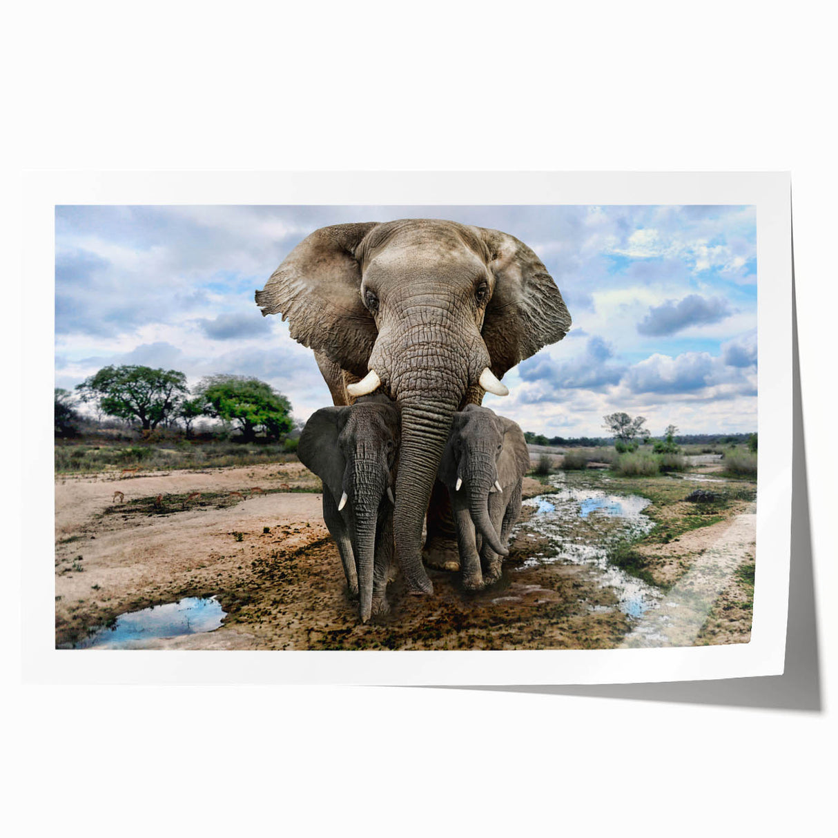 Elephant-themed wall art print showcasing a vibrant and detailed design of an African elephant, perfect for home decor or wildlife enthusiasts, rolled for easy display.