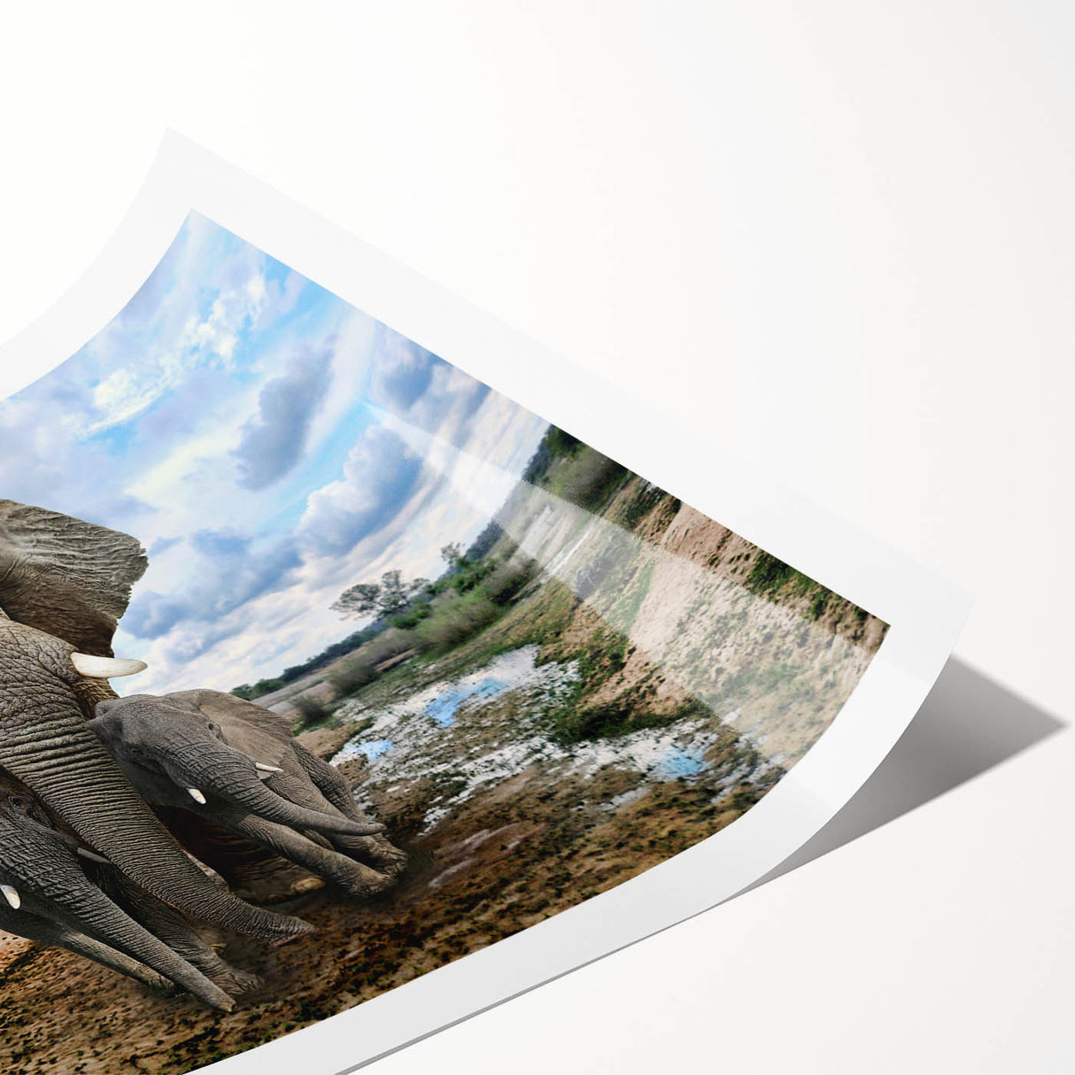 Elephant-themed wall art print showcasing a vibrant, colorful design of an African elephant in a natural habitat, perfect for home decor enthusiasts.