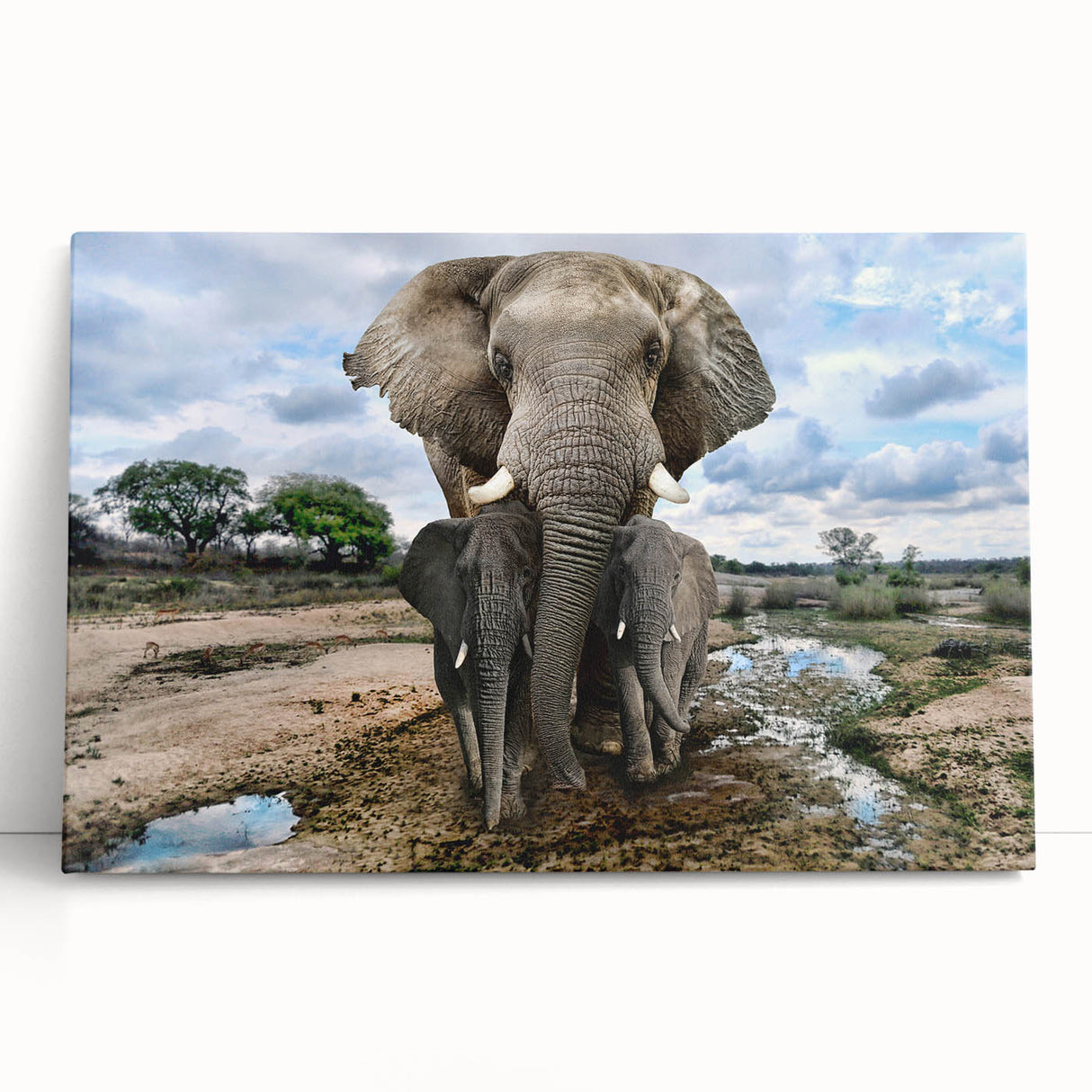 Stretched canvas wall art featuring a vibrant elephant design in a natural setting, showcasing intricate details and colors, perfect for animal lovers and home decor.