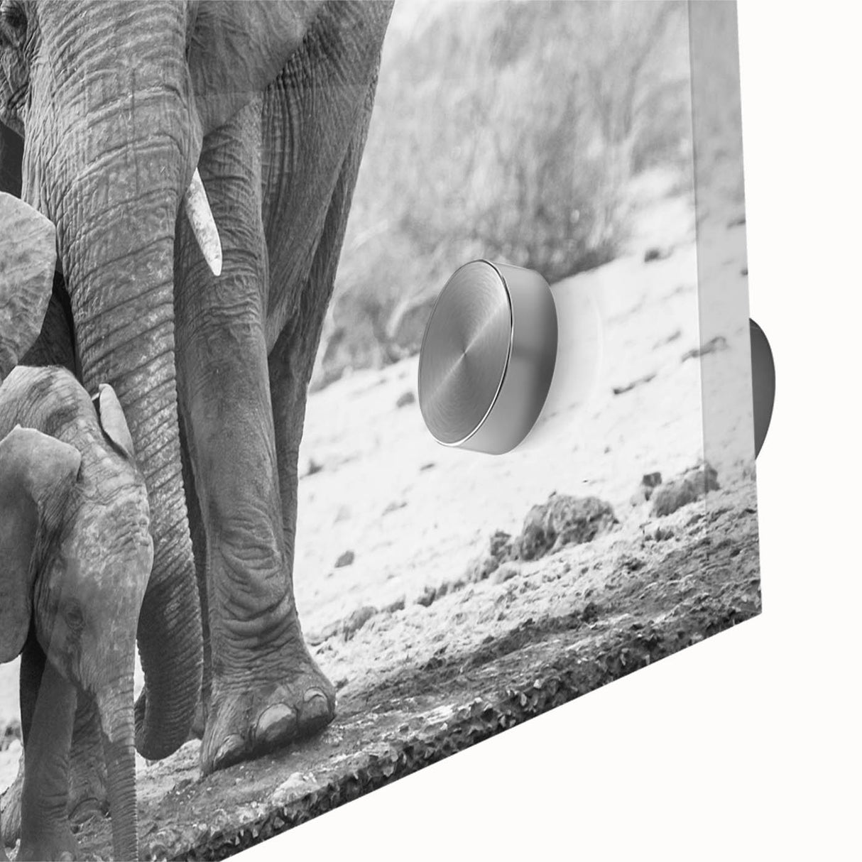 Close-up of a vibrant acrylic glass wall art piece showcasing a detailed elephant design, perfect for wildlife enthusiasts, set against a neutral background.