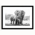 Elephant-themed wall art framed in black, showcasing a vibrant design with intricate details, ideal for enhancing home decor and celebrating wildlife.