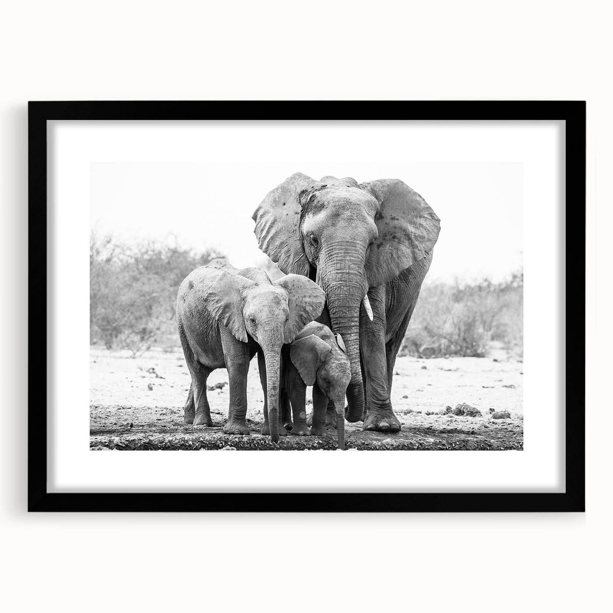Elephant-themed wall art framed in black, showcasing a vibrant design with intricate details, ideal for enhancing home decor and celebrating wildlife.