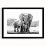 Elephant-themed wall art framed in black, showcasing a vibrant design with intricate details, ideal for enhancing home decor and celebrating wildlife.